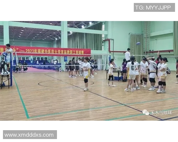 广州排球队的节奏变革引发热议探索新战术与团队协作的未来发展