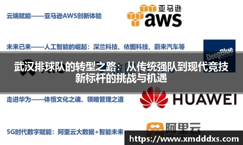 武汉排球队的转型之路：从传统强队到现代竞技新标杆的挑战与机遇